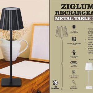 E394 – ZigLume: Rechargeable Metal Table Lamp | 1800 mAh rechargeable battery